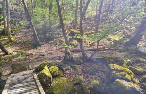 Séjour familial au Gite Iza – Lorme - Foto 28