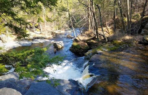 Woodside Cabin in Delaware Water Gap - Foto 35