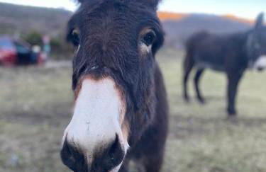 Casa Solle - Bonita casa de montaña a 20 min de San Isidro - Foto 44