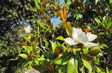 Villa Vista Alegria - Foto 34