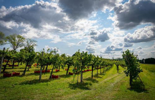 Dimora SWEET PIEVE - Foto 22