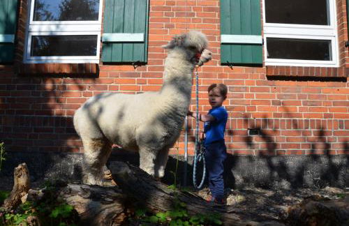 Alpakatherapie und Ferienhof Charlottenthal - Foto 54
