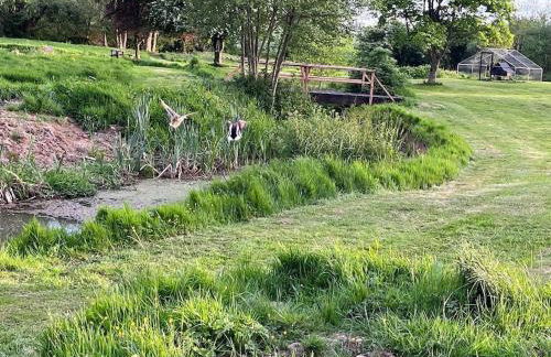 Mountbatten Shepherds hut & Buckhurst Shepherds hut - Foto 53