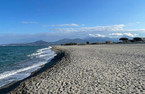 Résidence les Goélettes, logement RDC à 30 m de la plage - Photo 15
