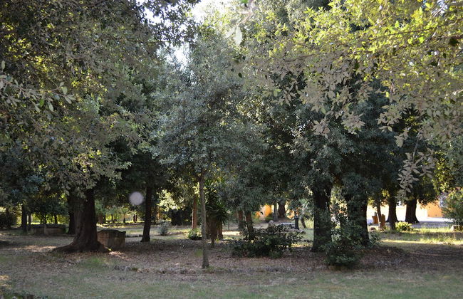 Agriturismo Villa Graziani - Photo 68