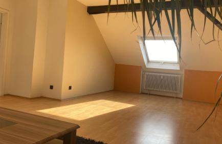 2 Zimmer Wohnung nahe Galopprennbahn - Foto 9