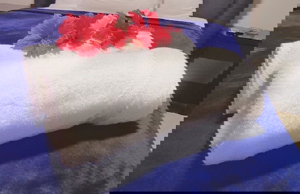 Acuarium Suite Resort - Foto 4