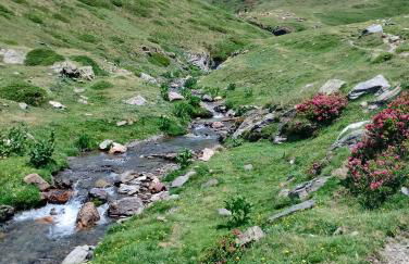 Ca l'ESTRELLA - Foto 35