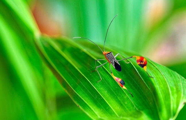 Pura Natura Lodge Arroyo - Foto 57