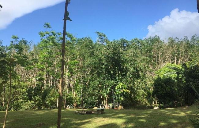 Baansuan Suksangob Farm Stay - Photo 39