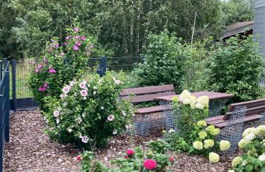 Seepark Cox ️️️️ - Foto 20