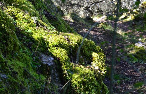 Casa Isabel - Foto 46