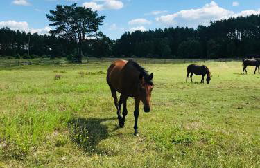 Marina Houses - Foto 30