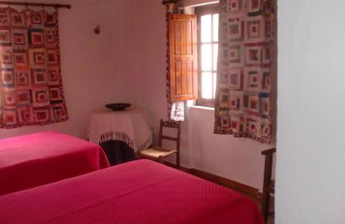 Horta da Quinta - Foto 41