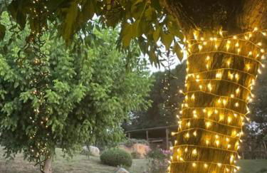 Más Figueres - Foto 52