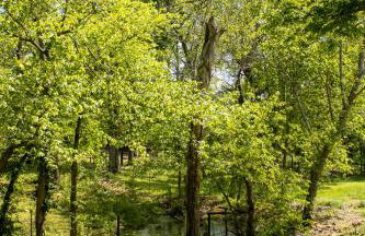 Clyde's Cabin with a private Hot Tub - Foto 20