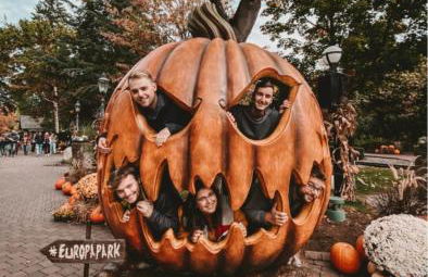 Location grand MH proche europa park 4 personnes - Foto 45