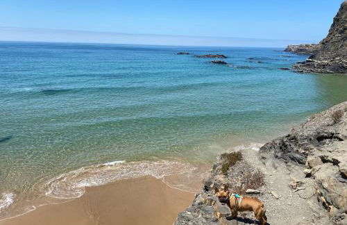 Apartment T3, sea view, swimming pool- Casa do Mar - Foto 18