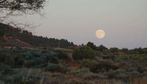 Casa Dos Lagares De Vara E Pedra - Foto 2