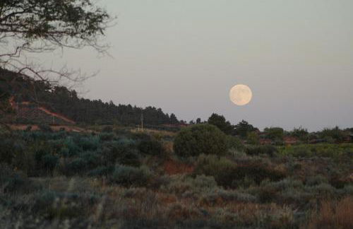 Casa Dos Lagares De Vara E Pedra - Foto 2