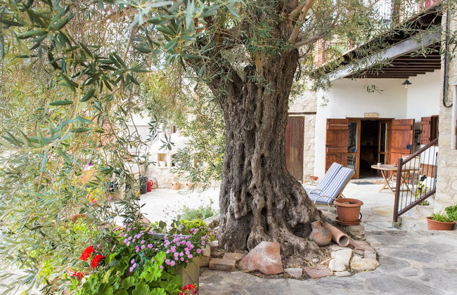 Vouni Lodge - Foto 10