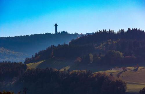 Ferienwohnung Emde - Foto 32