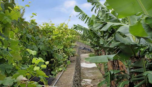 Casa das Rosas - Photo 2