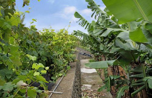 Casa das Rosas - Photo 2