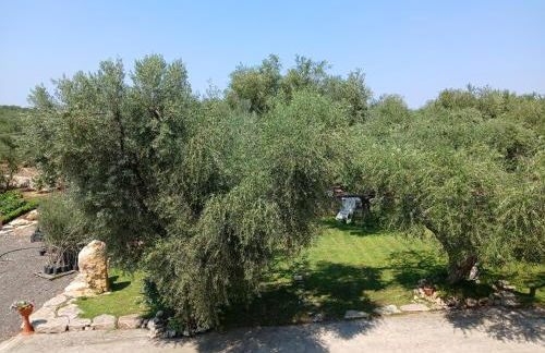 La Casa Del Nonno - Foto 15