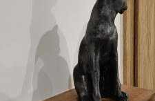 Drzewna Apartamenty-Wojska Polskiego - Foto 41