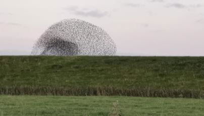 Gästehaus Hemmerdeich-alte Schule - Foto 3