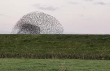 Gästehaus Hemmerdeich-alte Schule - Foto 3
