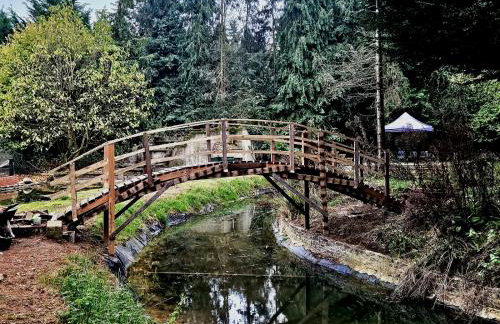 Beautiful cottage in Brentwood - Foto 14