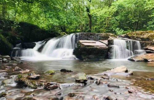 Bee Hive Merthyr Tydfil - Photo 20