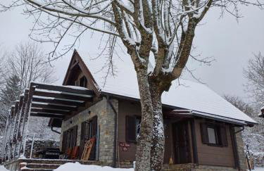 Villa Dobra - Foto 3