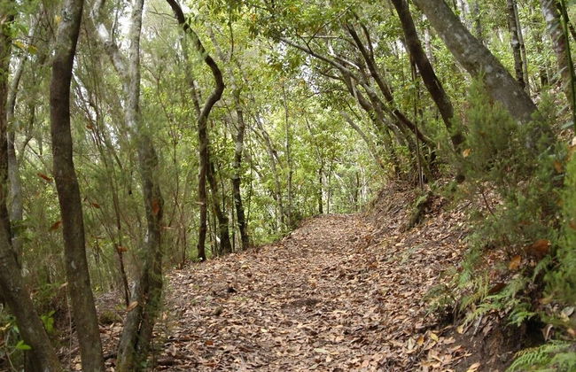 Beautiful Apartment Caleta Interian Beach - Foto 22