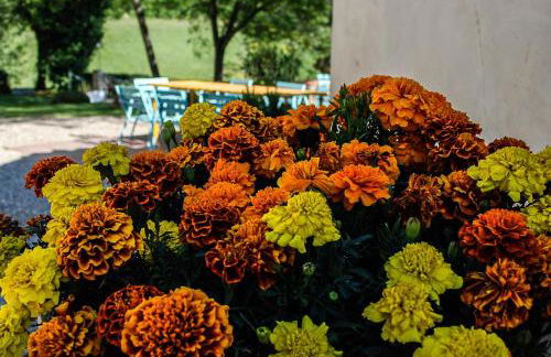 Bio-Agriturismo La Ginestra - Foto 35