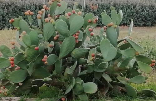 Villa Maria - Foto 19