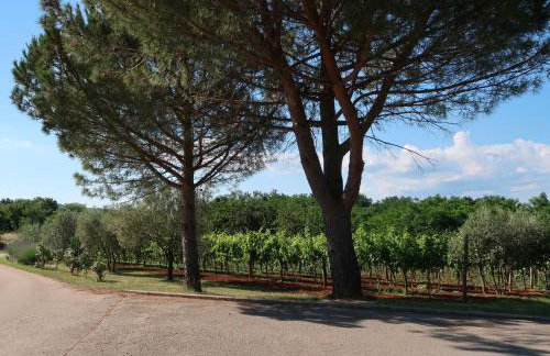 Apartment Mirjana-1 by Interhome - Foto 18