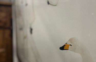 Little Wild House - Foto 10