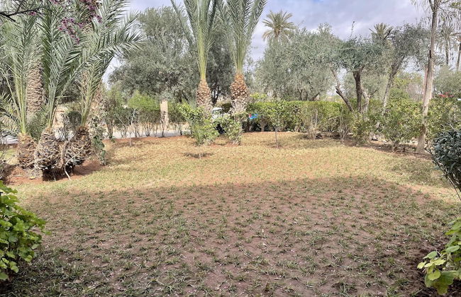 Au Coeur De La Palmeraie De Marrakech - Photo 69