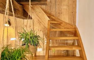 Das grüne Haus - Lörrach - Foto 10