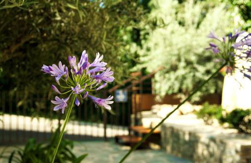 Suites in Erbalunga - Foto 36