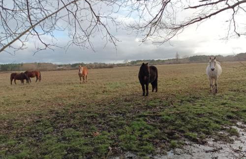 eco nature, gite à la ferme - Foto 26