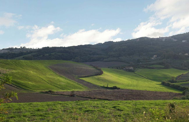 Spacious Cottage in Palaia With Private Pool - Foto 13