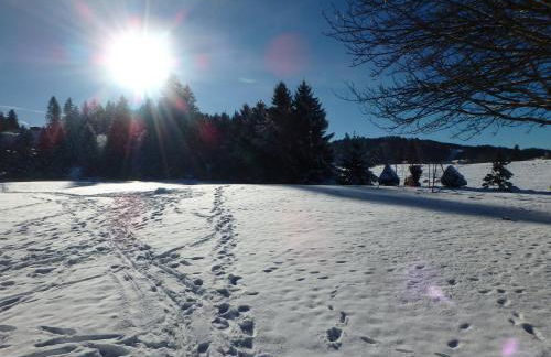 Les Logettes appartements dans ancienne ferme rénovée - Foto 19