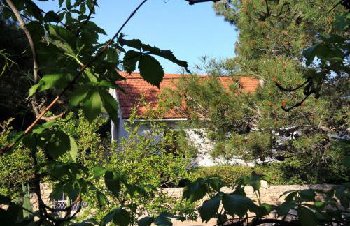 Apartments by the sea Mudri Dolac, Hvar - 118 - Foto 24