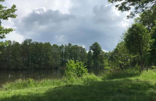 Ferienwohnung Ortrand - Pension - Foto 46