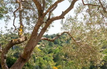 Location Bonnieux Provence - Foto 24