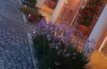 Herdade Monte Gordo - Foto 22